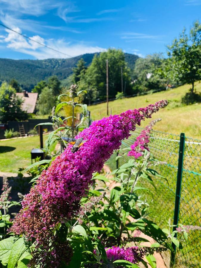 Homestay L'hippocampe *