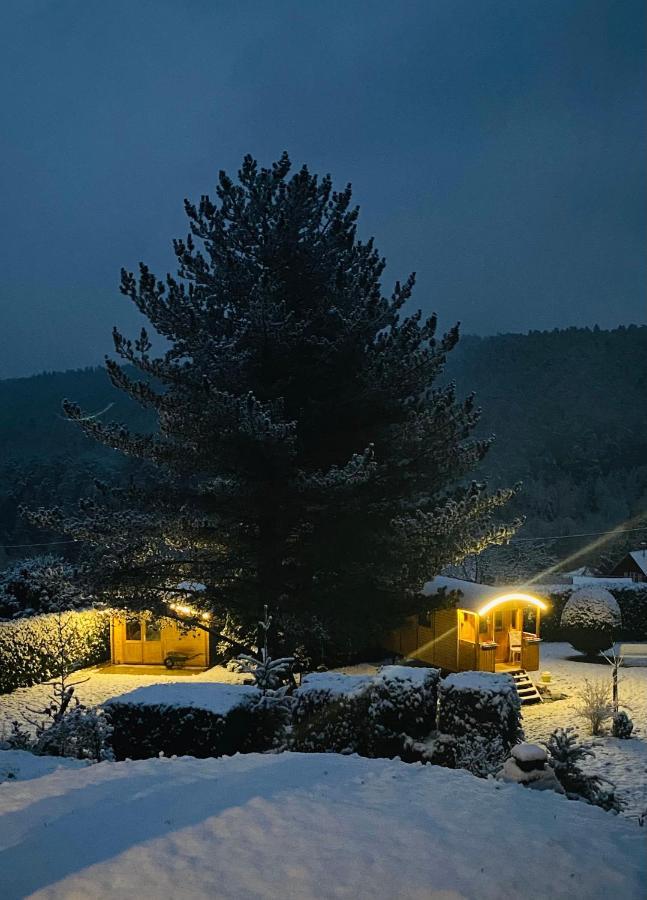 L'hippocampe Homestay *