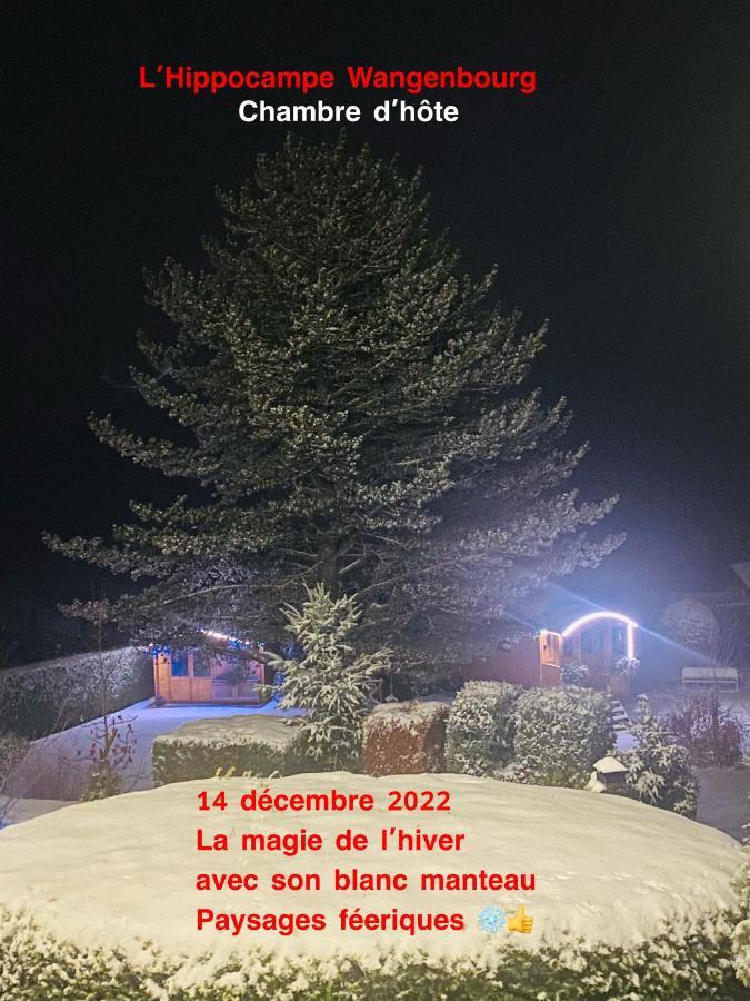Homestay L'hippocampe