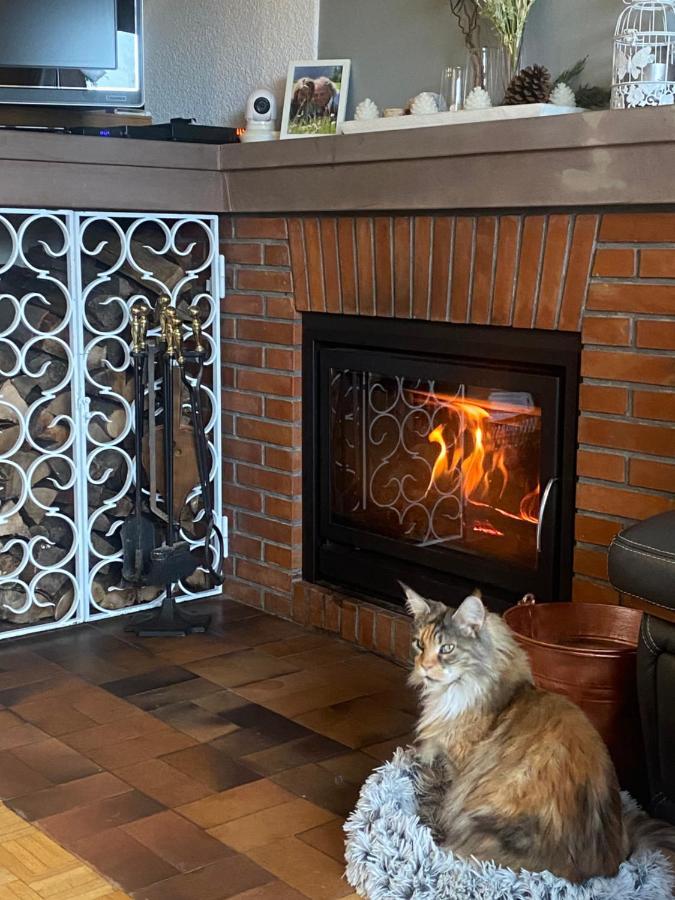 Homestay L'hippocampe *